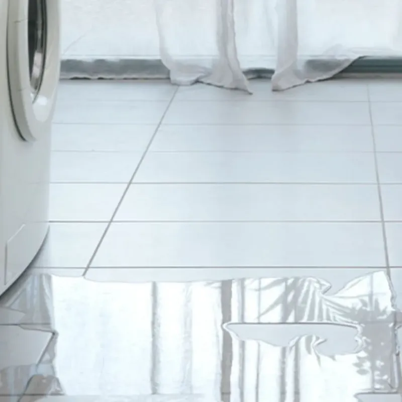 Appliance Leak Cleanup in Bushland, TX