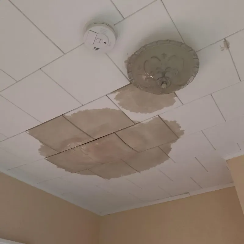 Ceiling Water Damage Repair in Bushland, TX