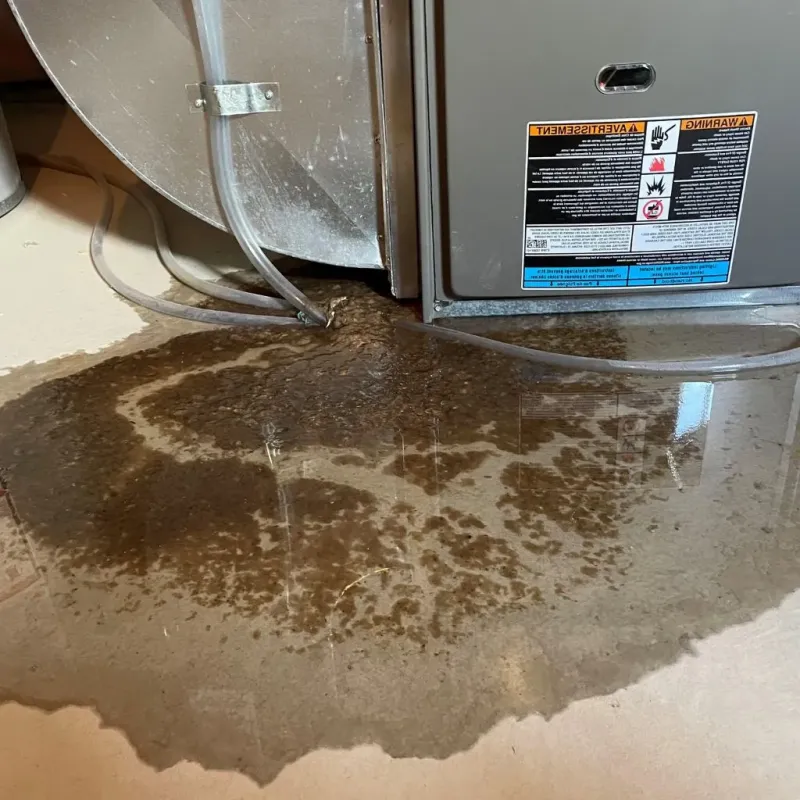 Pipe Burst and Leak Restoration in Bushland, TX