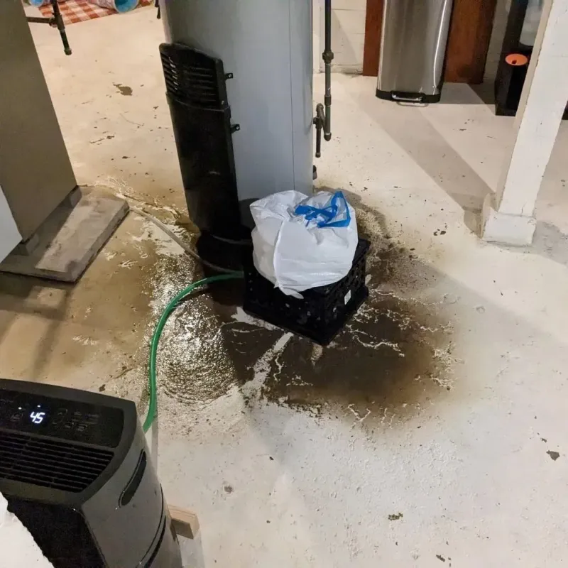 Sewage Backup Cleanup Service in Bushland, TX
